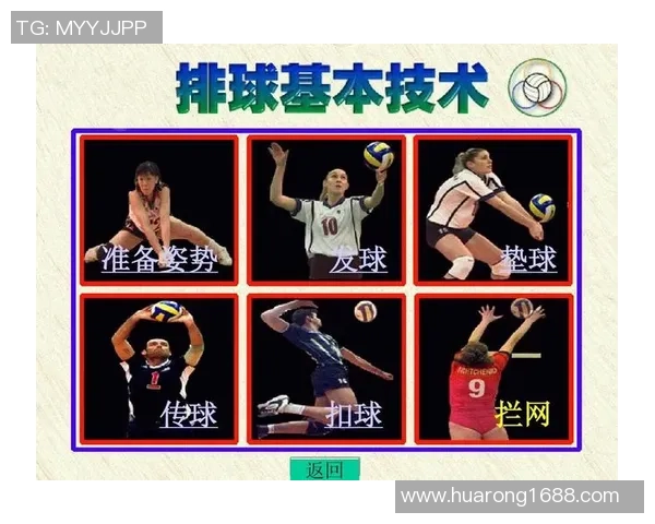 重庆排球队总决赛战术解析与表现评估全面分析